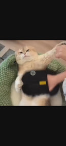 Removedor de Pelos Pet